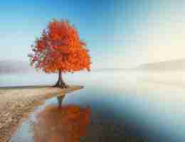 自﻿动‌发﻿帖﻿神​器﻿